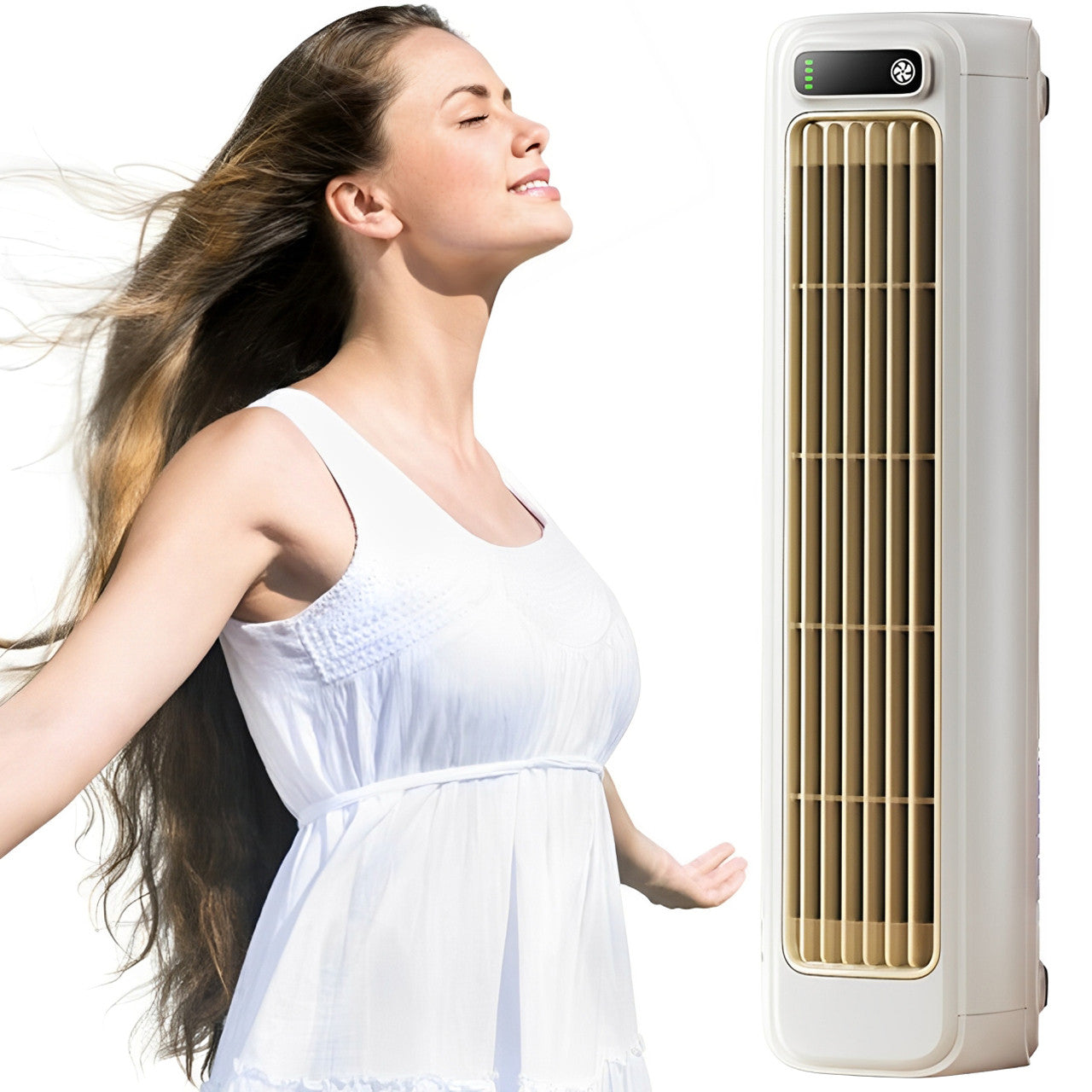 Brizio – Climatiseur Tour Rechargeable