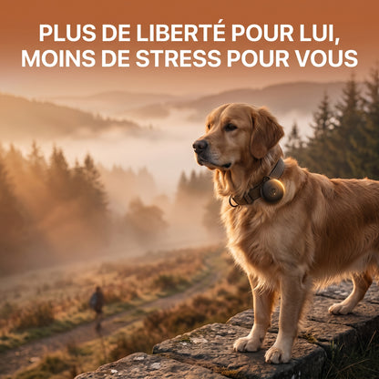 Pavori – Traceur GPS Chien Sans Abonnement