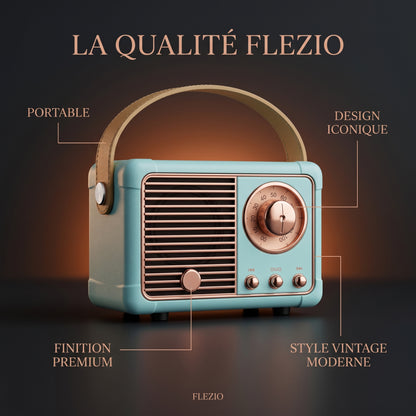 Enceinte Bluetooth Vintage Portable - USB et Carte TF