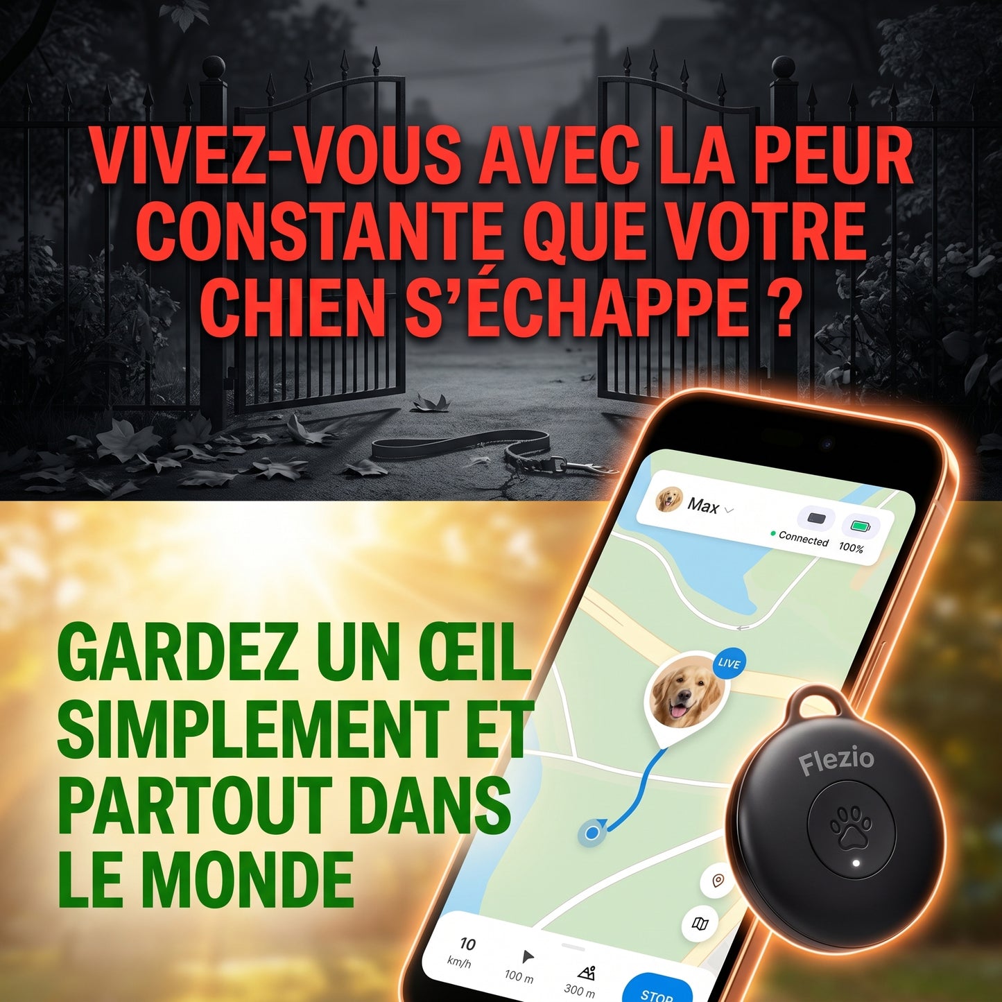 Pavori – Traceur GPS Chien Sans Abonnement