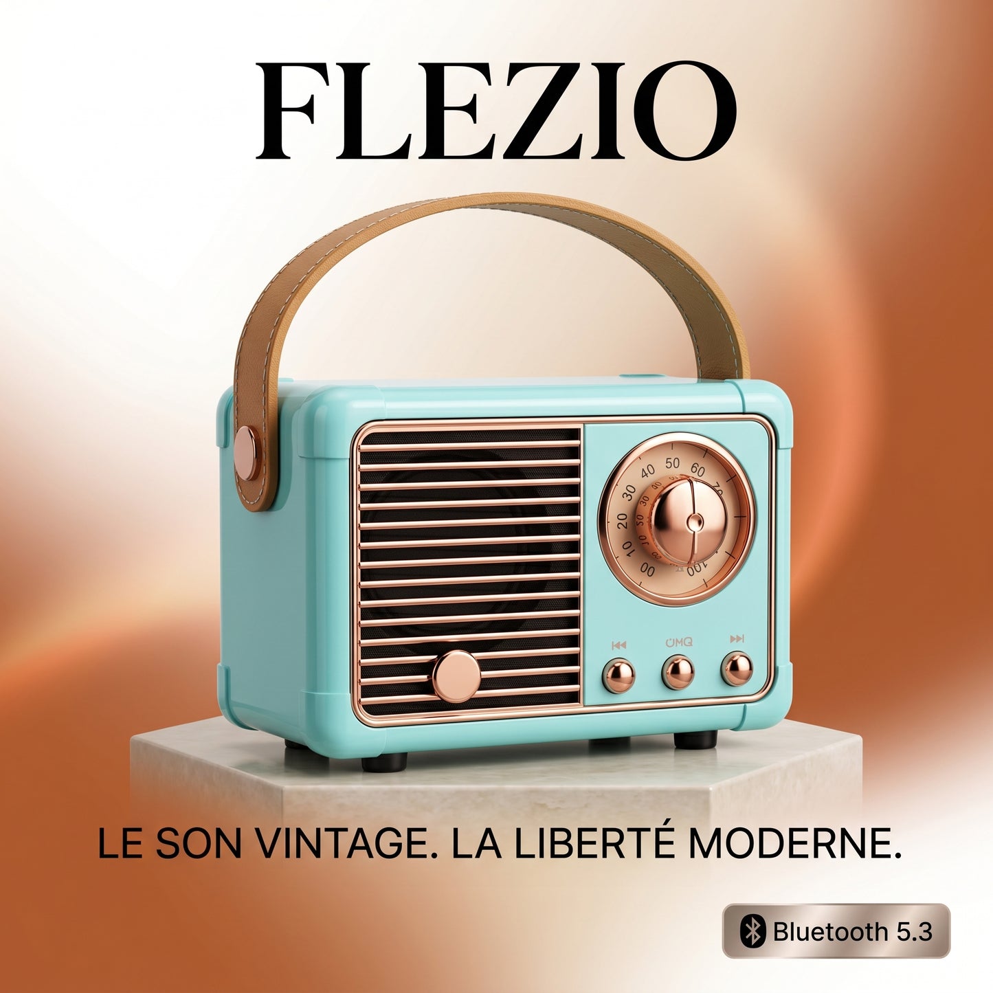 Enceinte Bluetooth Vintage Portable - USB et Carte TF