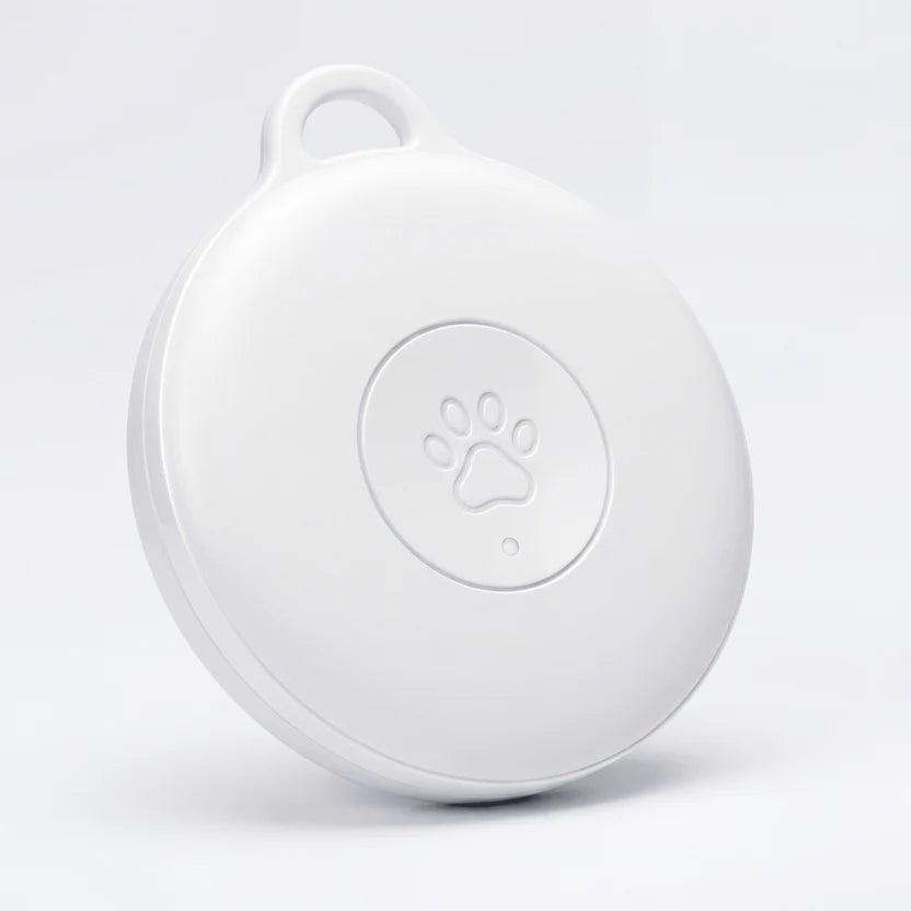 Pavori – Traceur GPS Chien Sans Abonnement