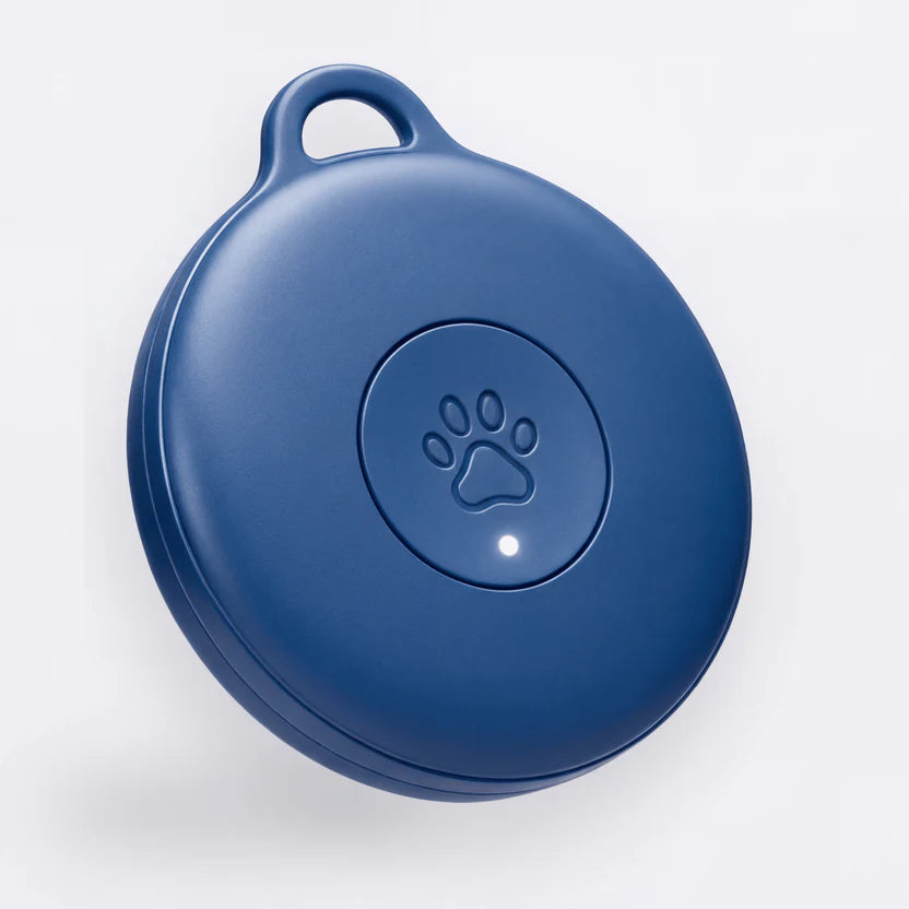Pavori – Traceur GPS Chien Sans Abonnement