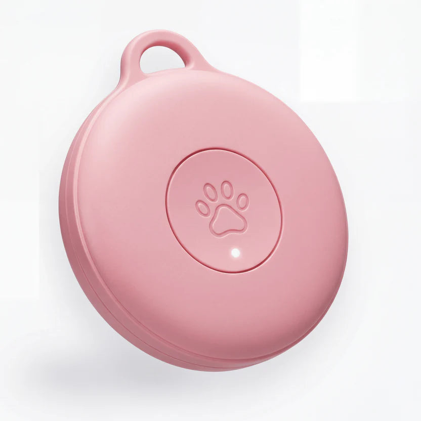 Pavori – Traceur GPS Chien Sans Abonnement